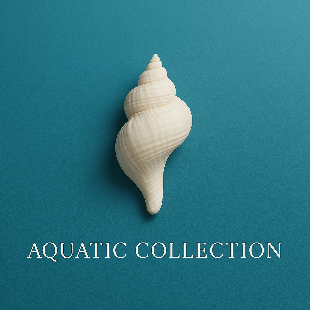 Discover Aquatics Kit